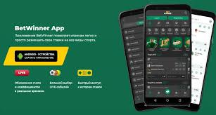 Experience the Thrills of BetWinner Casino Your Ultimate Gaming Destination Experience the Thrills of BetWinner Casino Your Ultimate Gaming Destination