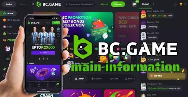 BCStavka Casino A Comprehensive Guide for New Players 951747474 BCStavka Casino A Comprehensive Guide for New Players 951747474